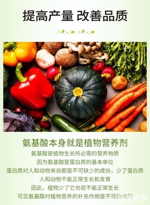 微生物有機肥與氨基酸肥料的協同創新 復合氨基酸原粉、水溶肥及葉面肥的生物有機肥料研發